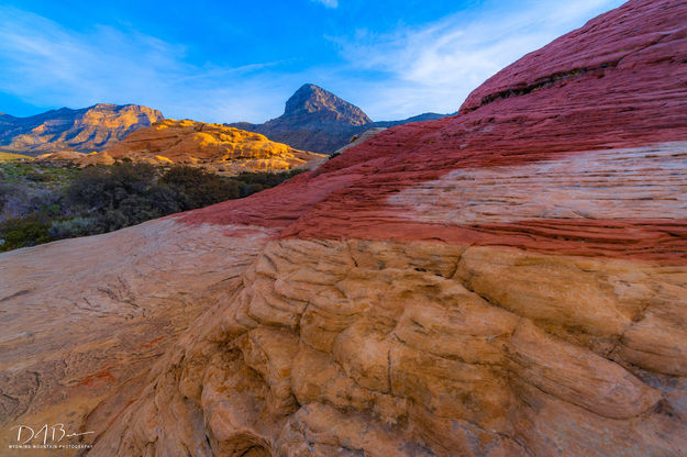 Painted Color. Photo by Dave Bell.