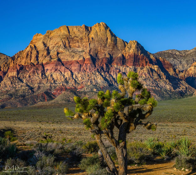 Stratified. Photo by Dave Bell.