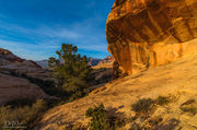 Overhang View. Photo by Dave Bell.