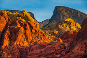 Colorful Morning Sun and Shadows. Photo by Dave Bell.