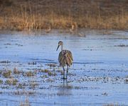 Which Way?. Photo by Dave Bell.