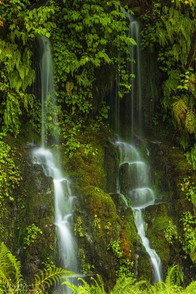 Double Rivulets. Photo by Dave Bell.