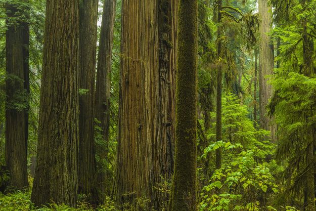 Size And Scale. Photo by Dave Bell.