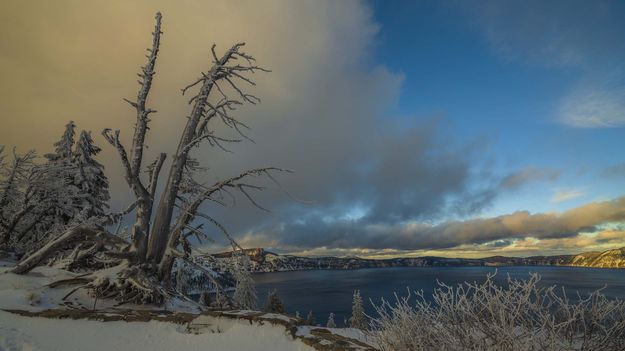Crater Lake Snags. Photo by Dave Bell.