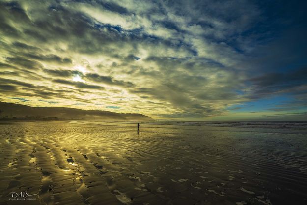 Beachcombing. Photo by Dave Bell.