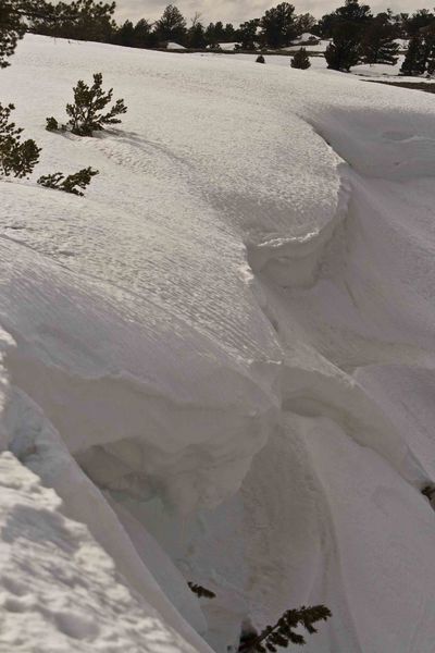 Large Cornice. Photo by Dave Bell.