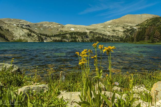 Brewster Water. Photo by Dave Bell.