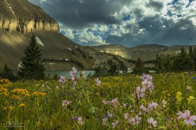 Sun Rays. Photo by Dave Bell.