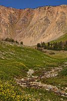 Alpine Scenery. Photo by Dave Bell.