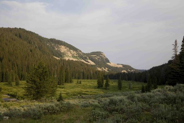 Meadow In Lower Rock Creek. Photo by Dave Bell.