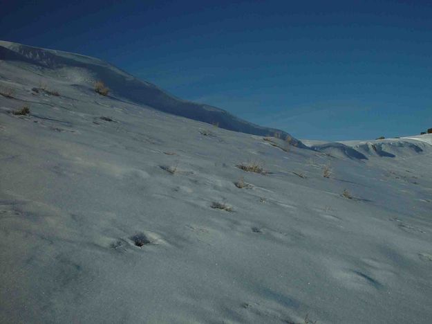 Decent Sized Cornices!. Photo by Dave Bell.