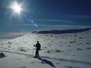 Bright Sunshine. Photo by Dave Bell.