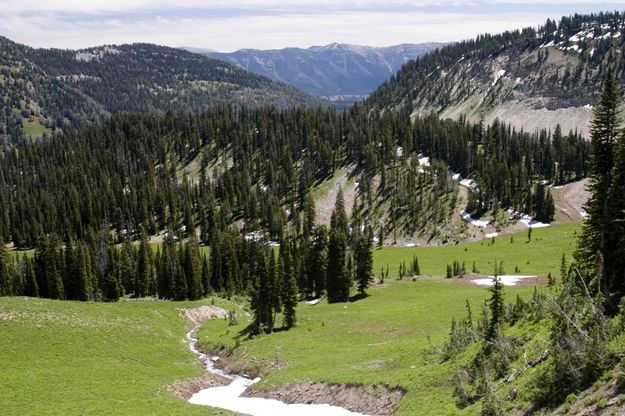View Down Bear Creek Valley From McDougall Pass. Photo by Dave Bell.
