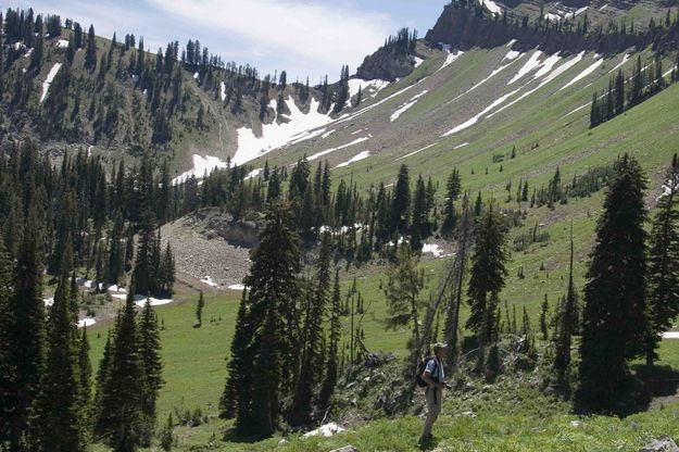 Arnie, An Avid Snowmobiler, Contemplates Snowmachine Route Up Bear Creek To McDougall Pass. Photo by Dave Bell.