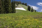 Scenery Around McDougall Pass. Photo by Dave Bell.