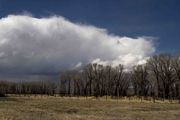 Spring Squall-Yep, It Snowed. Photo by Dave Bell.