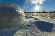 Frozen Brain Matter. Photo by Dave Bell.