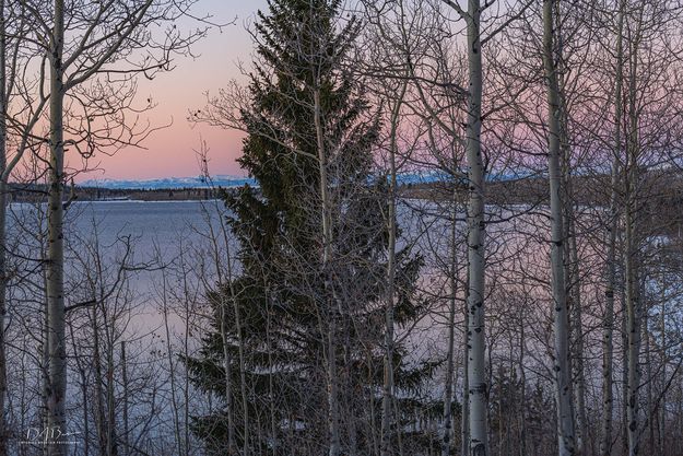 New Fork Lake Belt Of Venus. Photo by Dave Bell.