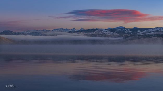 Morning Beauty. Photo by Dave Bell.