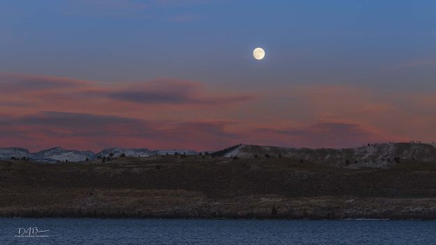 Cold Moon Rising. Photo by Dave Bell.