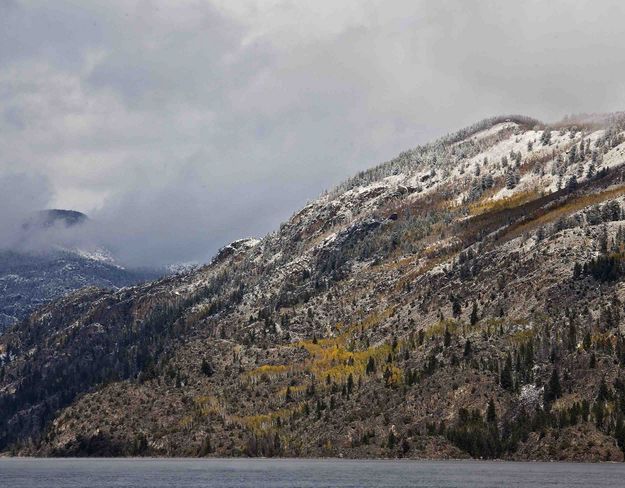 Snowy Color. Photo by Dave Bell.