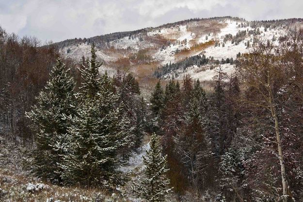 Fortification Mountain. Photo by Dave Bell.