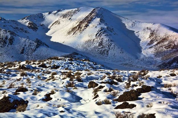 Winter Scenery. Photo by Dave Bell.