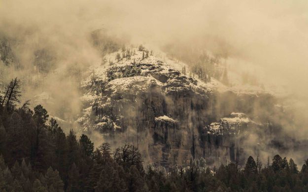 Misty Heights. Photo by Dave Bell.