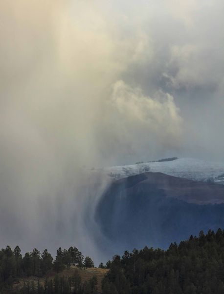 Snow Squall. Photo by Dave Bell.