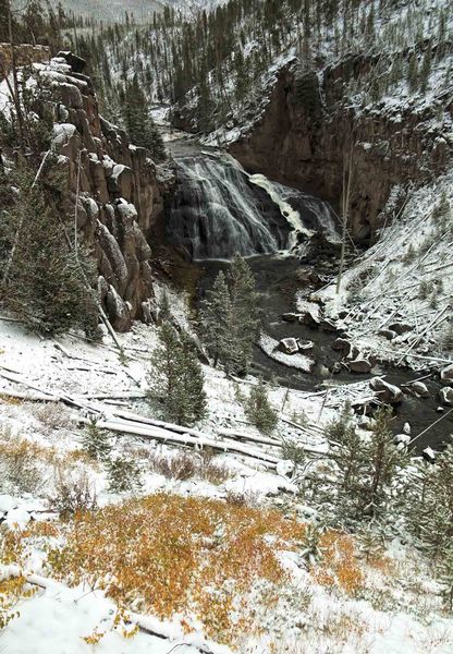 Gibbon Falls. Photo by Dave Bell.