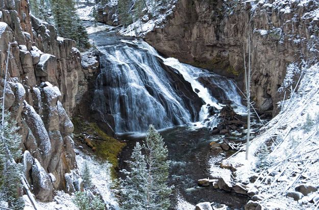 Snowy Beauty. Photo by Dave Bell.