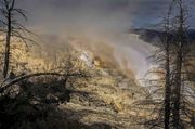 Mammoth Hot Spring. Photo by Dave Bell.