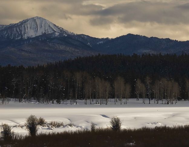 Snowy Field. Photo by Dave Bell.