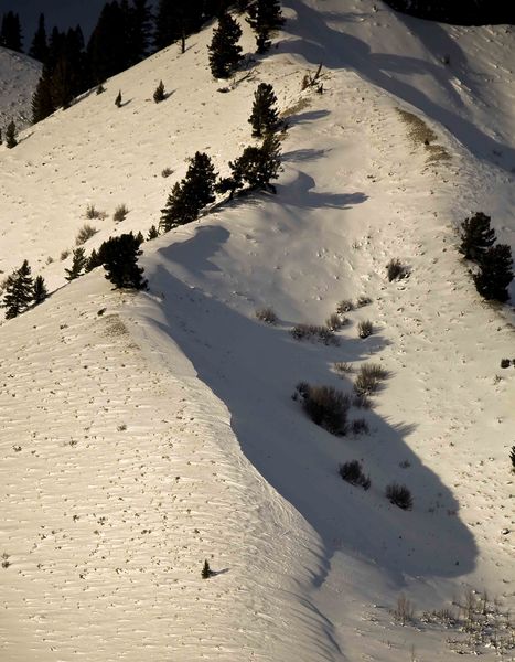 Ridgelines and Shadows. Photo by Dave Bell.