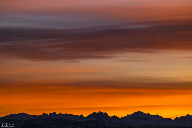 Bonneville Color. Photo by Dave Bell.