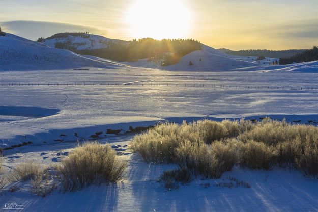 Sparkly Ice Crystals. Photo by Dave Bell.