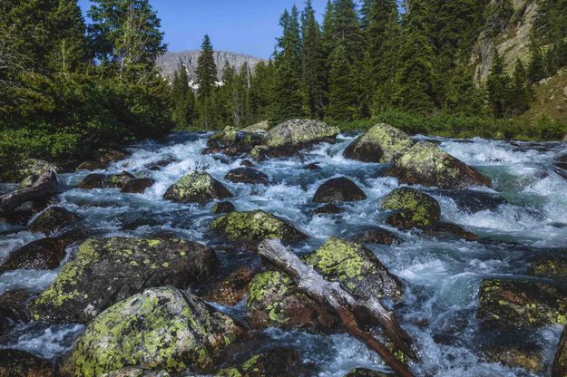 Beautiful Pole Creek. Photo by Dave Bell.