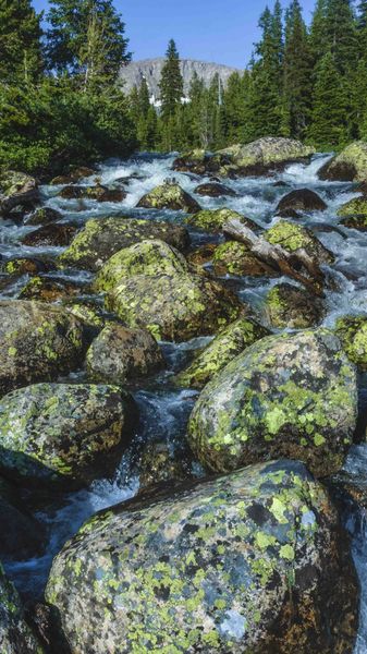 Boiling Pole Creek. Photo by Dave Bell.