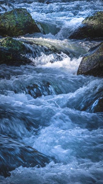 Dance Of The Water. Photo by Dave Bell.