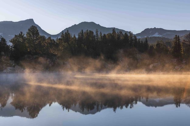 Morning Mist. Photo by Dave Bell.