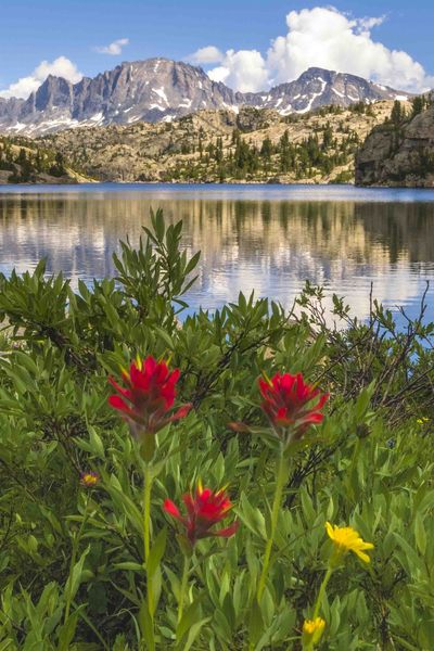 Paintbrush-Seneca-Fremont. Photo by Dave Bell.