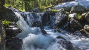 Beautiful Babbling Brook. Photo by Dave Bell.