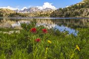 Wind River Beauty. Photo by Dave Bell.