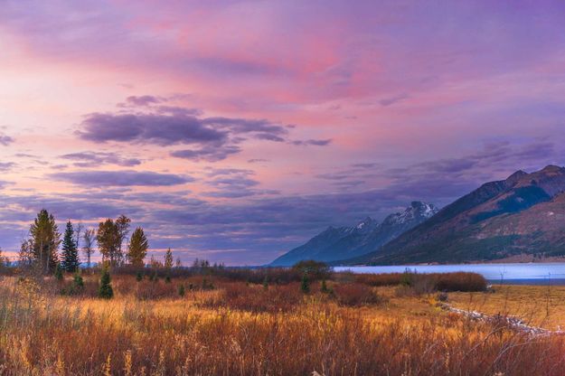 Grand Teton Fall Glory. Photo by Dave Bell.