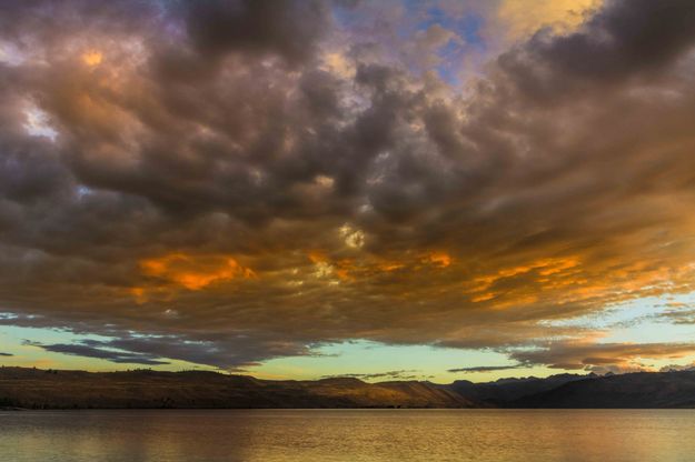 Orange Stripe. Photo by Dave Bell.