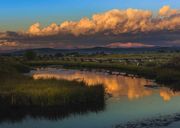 Morning Reflection. Photo by Dave Bell.