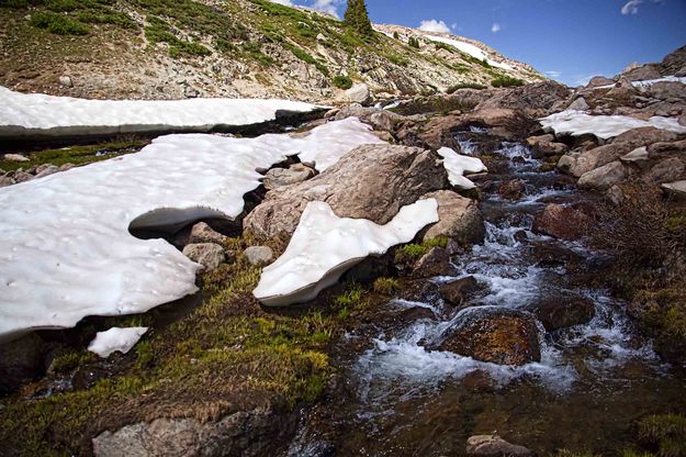 Upper Jean Outlet Stream. Photo by Dave Bell.