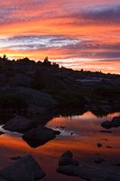 Sunset Color. Photo by Dave Bell.