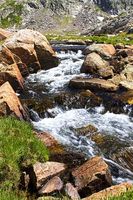 Elbow Creek. Photo by Dave Bell.