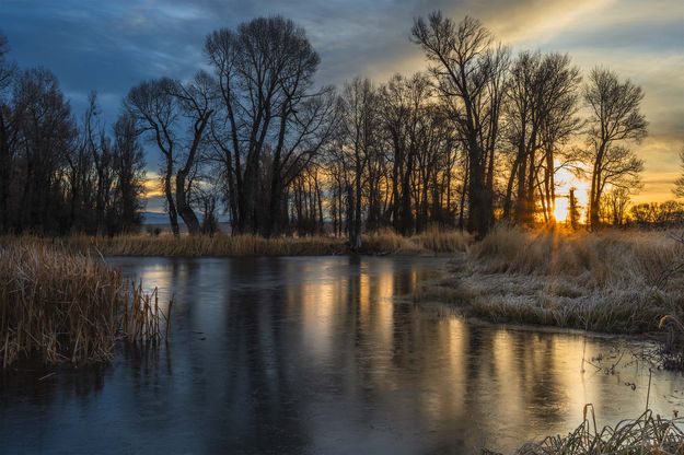 Shiny Ice. Photo by Dave Bell.
